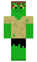 Bradhero3 minecraft skin