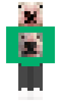 Guarro minecraft skin
