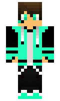 toterro minecraft skin