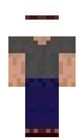 westerhack minecraft skin