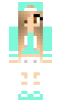 Put minecraft skin