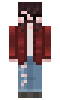 334dc8a0e42cd6 minecraft skin