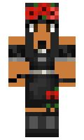 SimpleSlides minecraft skin