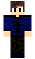 335fdf008d93ab minecraft skin