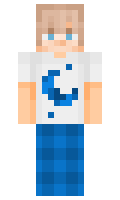 zedbez minecraft skin