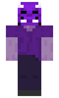 stef minecraft skin