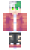 33842712463726 minecraft skin