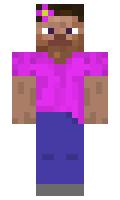 Message minecraft skin