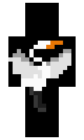 Ra91 minecraft skin