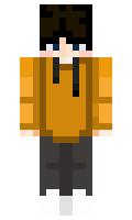 AKE7395 minecraft skin