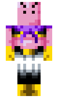 MsrToSTER minecraft skin