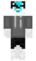 33c6c2d3d26f60 minecraft skin
