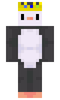 Pengu31 minecraft skin