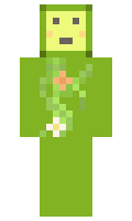 binkabon minecraft skin