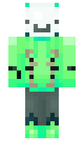 ppwwaa minecraft skin