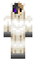 34275f22d93a4f minecraft skin