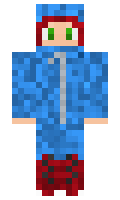 Nisa minecraft skin