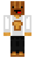 VicRoos minecraft skin