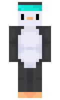quacknit4242 minecraft skin