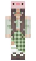 3461497b4d2a43 minecraft skin