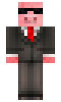 puffking minecraft skin