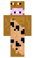 348f17c1511d20 minecraft skin