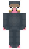 3492dd11a18a99 minecraft skin