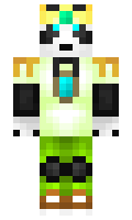 34bfa20c1a4e35 minecraft skin