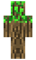 Vio minecraft skin