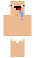 icendpor minecraft skin