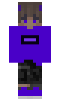 pqntom minecraft skin