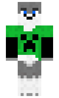 pumaplay minecraft skin