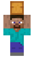 Glttergrl minecraft skin