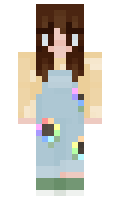 3540405028503f minecraft skin