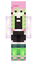 3541d6135066c6 minecraft skin