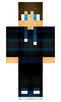 nicolube minecraft skin