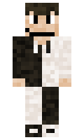 JustAnimating minecraft skin