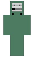 35819a6d6cc4b3 minecraft skin