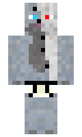 robo minecraft skin