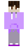 35a7a9dd1e1d9f minecraft skin