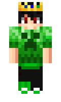 Shavl1 minecraft skin