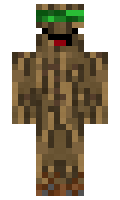 35cc9cab3999ef minecraft skin