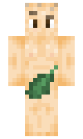 35e5349ee737d8 minecraft skin