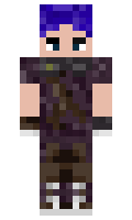 230nh minecraft skin