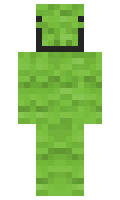 Woohl minecraft skin