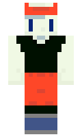 raygan minecraft skin