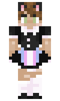 NNASP minecraft skin