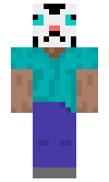 217217 minecraft skin