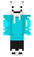 36a16824d24653 minecraft skin