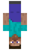 Walluu minecraft skin